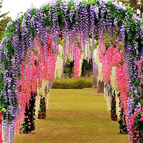 XQxiqi689sy 50 Pezzi/Borsa Semi di Glicine Pianta Rampicante Perenne in Piena Fioritura, Parco di Semi di Fiori di Glicine Viola Semi di Glicine Sinensis