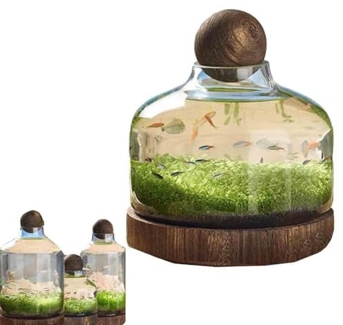 FkYstrix Fischbecken Schalen Pflanzen Aquarium Aquaponic Glas Fischflaschen Löschen Hydrokultur Pflanzenterrarium Ökosystem (S, B)