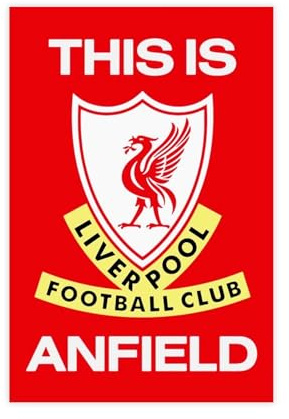 SFQQE Dit Is Anfield Schild-Poster, Leinwand, Poster, Schlafzimmer, Dekoration, Landschaft, Büro, Raumdekoration, Geschenk, 30 x 45 cm