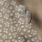 Auiremrti Flower Nail Art Stickers, White Flower Nail Stickers, Exquisite Shiny Shell Light Crystal Flower Nail Stickers, Jelly Flower Stickers for Nails