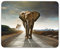 Destination Vinyl Ltd Majestic Elephant Mouse Mat Pad - Wild Animal Mum Sister Gift PC Computer #8240