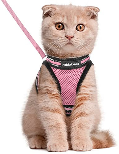 rabbitgoo Katzengeschirr Katzenleine Set Katzengeschirr mit Leine Geschirr Katzen ausbruchsicher verstellbar weich mit reflektierenden Streifen für Katzen Kitten Welpen Cat Harness Leash Rosa L