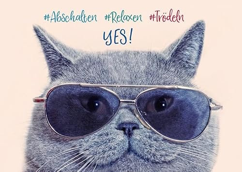 Gutsch Verlag Coole Tier-Postkarte mit Katze und Sonnenbrille – Lustige Katzenmotive für Tierliebhaber – Perfekt zum Verschenken und Verschicken – #Abschalten #Relaxen #Tierleben