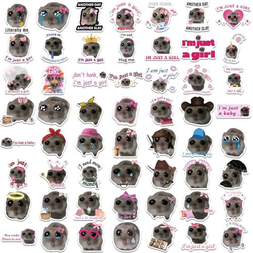 Lerpwige Memes Aufkleber Pack Von 56 Stickers Scrapbook Stationery Decal Für Teenager Skateboardaufkleber Laptop Tablet