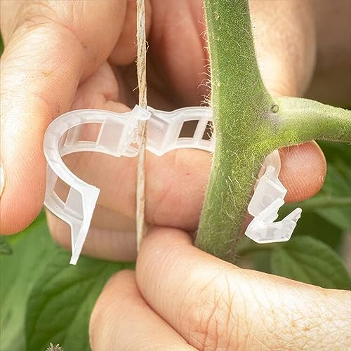 200PCS Plant Support Clips, Garden Plant Clips for Climbing Plants, Tomato Plant Support, Vine Clips for Fixing Tomatoes, Cucumbers, Outdoor & Indoor Plants, Plastic Trellis Clips (White)
