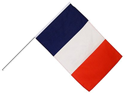 Digni Grand Drapeau France sur hampe 60 x 90 cm Sticker Gratuit