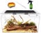 Reptile Growth Reptile Terrarium Kit, Reptile Tank 20 x 10x 11, with Stainless Steel Tweezer, Spray Bottles,Water Food Bowl，Terrarium Reptile for Gecko Hermit Crab Bearded Dragon Lizard