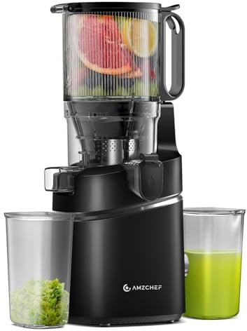 AMZCHEF 250W Automatischer All-In-One Entsafter