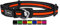 DDOXX Reflektierendes Airmesh Hundehalsband - Stabiles und Verstellbares Welpenhalsband für alle Größen - S (Orange)