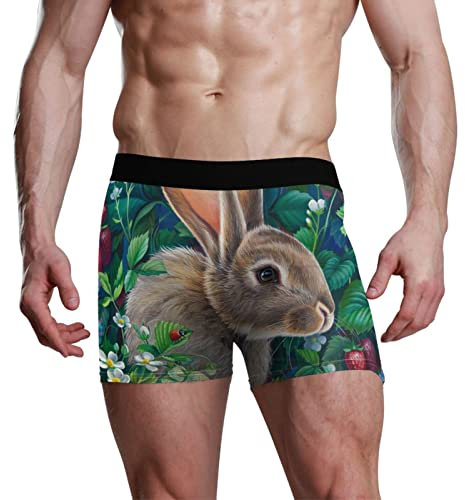 YOUJUNER Hare Bunny Rabbit Herren Trunk Boxershorts Slips Hosen Unterwäsche Unterhosen Boxershorts für Herren, mehrfarbig, L