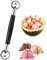 TPZORJX 1 pz Bifacciale Frutta Melone Sfera Paletta Acciaio Inossidabile 2 in 1 Anguria Gelato Melone Paletta,Scavino per palline melone，Inox