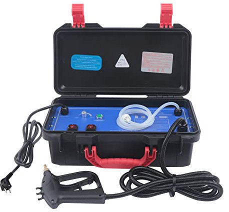 KANBCNG Pulitore a vapore portatile da 220 V, 2-3,5 bar, con asta di prolunga per acqua fredda e pulizia a vapore, quantità di vapore regolabile, pulitore a vapore per mobili