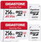GIGASTONE 256GB 2-Pack Micro SD Card, Gaming Plus, Nintendo-Switch 1 Compatible, R/W 100/60MB/s, 4K Video Recording, Micro SDXC UHS-I A1 U3 Class 10, with Adapter