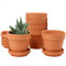 Oairse Lot de 6 mini pots en terre cuite - 8 x 8 cm - Avec soucoupe et trou de drainage - Pot de fleurs avec plateau - Pot en terre cuite pour plantes d'intérieur et d'extérieur - Cadeau de mariage