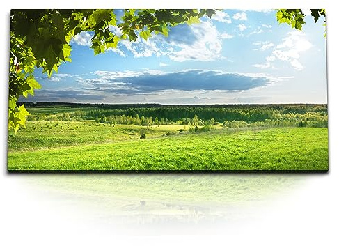 Paul Sinus Kunstdruck Bilder 120x60cm Landschaftsbild Natur Gras Wiese Bäume Sommer