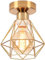 iDEGU Indistrielle Deckenleuchte 16cm Deckenlampe aus Metall Lampenschirm Gold Käfig Retro Kronleuchter E27 Vintage Pendelleuchte für Flur Eingang Küche Schlafzimmer