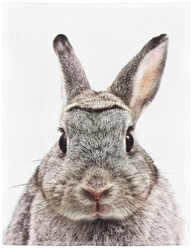 YISUMEI Bedruckte Kuscheldecke Niedlich Braun Hase Decke Flauschig Weich Fleecedecke 125x150 cm