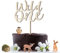 COLOFALLA Cake Topper Wild One aus Holz Tortendeko Torten Topper Cupcake Deko Kuchendeko 1. Geburtstag Kindergeburtstag Babyparty Deko Neutral Geburtstagsdeko Junge Mädchen
