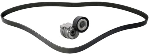 FEBI BILSTEIN Keilrippenriemensatz 183990 | Kompatibel mit: ALFA ROMEO GIULIETTA, GIULIETTA Kasten/Schrägheck, FIAT 500L, 500X, DOBLO Cargo, DOBLO Pritsche/Fahrgestell