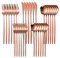 Buumin 30-Piece Rose Gold Cutlery Set, Knife, Fork, Spoon, Tableware Cutlery Service for 6, Stainless Steel Sets, Flatware Silverware Set, Titanium Coating Utensil Sets, Mirror Polished Design