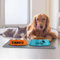 Gamelle personnalisée en acier inoxydable pour chien avec nom personnalisé - Gamelle antidérapante pour chiot - Avec nom - 26 cm