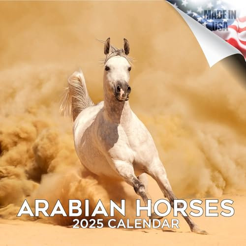 Kalender 2025 2026 arabische Pferde – monatlicher Wandkalender für Pferde, 16 Monate, 30,5 x 61 cm, Wildtierplaner, dickes Papier, großes Raster, begabbarer Tierkalender für Lehrer, Zuhause, Büro