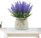 Plantas artificiales en maceta,Planta pequeña artificial - Decoración de flores realistas Plantas artificiales en macetas,Plantas de imitación de granja para bodas y reuniones en interiores y exterior