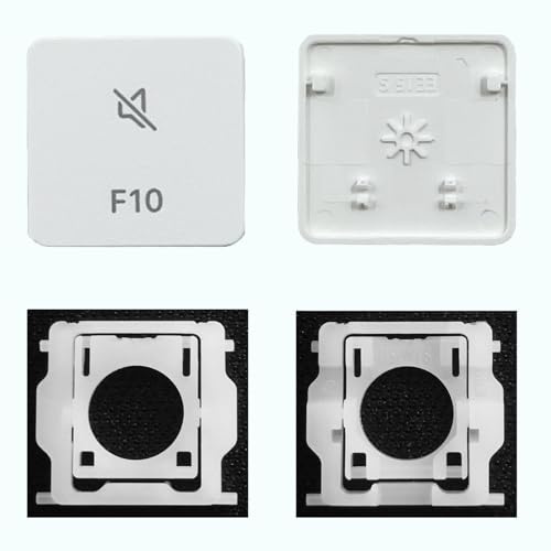 CTBDZ Ersatzscharnier für einzelne Tastenkappen für Magic Keyboard A2438 A2439 A2449 A2450 A3118 A3203 2021-2024 Jahr (F10-Taste)
