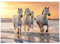 MyPuzzle Weiße Camargue Pferde galoppieren am Strand, Frankreich - Premium 1000 Teile Puzzle - MyPuzzle Sonderkollektion von Puzzle Galaxy