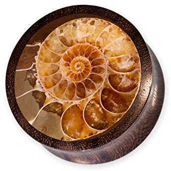 Fly Style Piercing Ohr Tunnel Plug - Ohr Piercings - Ammoniten Earplug Holz Horn, Grösse:16 mm (Paar)