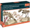 EXPLORA - 2 Dinosaurier-Skelette - Paläontologen-Set - 039402 - Ausgrabungs-Gips - Entdeckungs-Set - Kinderspiel - Wissenschaftlich - Abenteuer - Spaß - Fossilien - Ab 6 Jahren