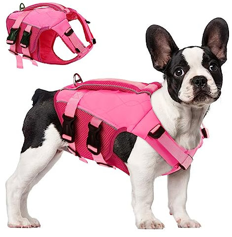 ASENKU Schwimmweste Hund Mittel M,Verstellbar & Ripstop Hundeschwimmweste,Rettungsweste für Hunde mit Griff und Reflektierend, Hunde Schwimmweste für Chihuahua,Dackel,Französische Bulldogge, Labrador