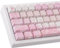 PBT Keycaps 131 Keys Custom Pink Cherry Blossom Keycaps Set Letter Side Engraved Transparent Keycap ISO/ANSI Layout for Cherry MX Switches Mechanical Keyboards