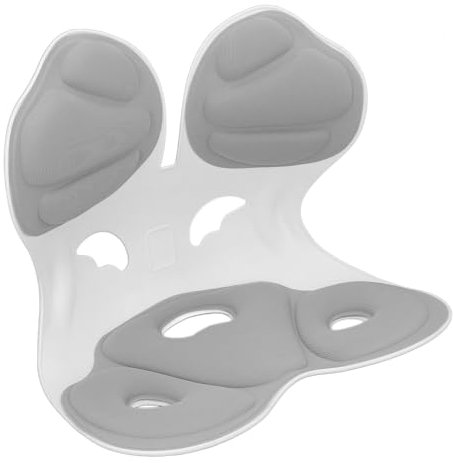 Fafeicy Chaise de Correction d'achat, Massage Respirant Réduisez l'ergonomie dans la Zone du Bas du Dos Facilement Trop Portable pour la Maison (Style de Lune Gris)