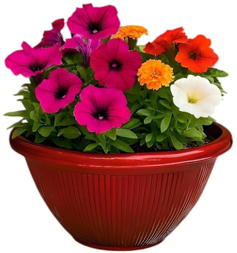 Divas World Beeline Bowl 12-Inch Planter – Decorative Round Plastic Flower Pot with Drainage Hole – 5.67L Capacity – Lightweight Outdoor Plant Container – Red – Single or Pack of 2 Available (1, Red)