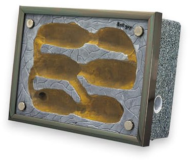 ant guy Gips Formicarium Ameisenfarm (ant guy Gips Formicarium Ameisenfarm)