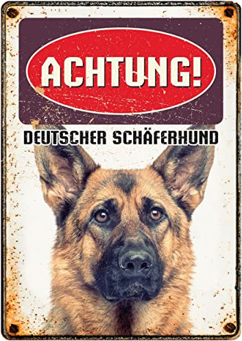 Plenty Gifts Metallschild Vintage Achtung Deutscher Schaferhund