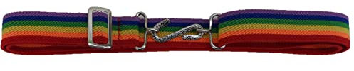 Mazeys Retro Unisex 70s Elastic Snake Belts (Rainbow)