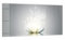DEQORI Glasbild Acrylglas | Motiv Funkelnde Lotusblüte | horizontal einteilig 100x50 cm | schöne Dekoration | Wandbild für Wohnzimmer, Schlafzimmer, Flur & Küche | moderne Wanddeko