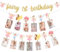 First Birthday Decorations Girl Fairy - Fairy 1st Birthday Banner, Monthly Photo Banner for Floral Fairy 1st Birthday Party Decorations, Fairy One Year Old Birthday Decorations for Baby Girl