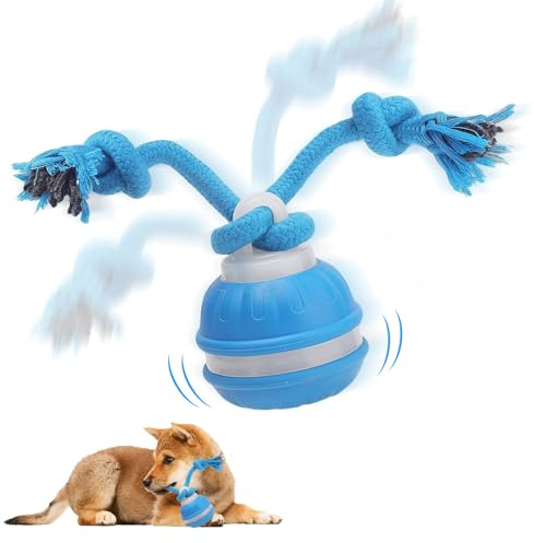TZQFROCE Interaktives Hundespielzeug Ball Automatisch Rollender Ball für Hunde interaktiver Hundespielball für Aktivitäten und Unterhaltung (Blau)