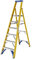 Werner Fibreglass Platform Stepladder 6 Tread
