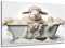 DARO Design - Toiletten-Bild auf 6mm HDF 70x50 cm Baby Schaf Schäfchen in der Badewanne - Wand-Deko Bilder Lustiges Geschenk