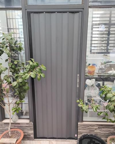 Oracra Folding Door Outdoor Accordion Sliding Door Blinds Horizontal, Aluminum Locking Concertina Door Screen, 24 30 32 34 36 48 60 80 Inch Interior Dividers Gate(41x80in(104x203cm))