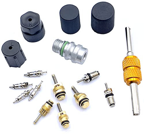 Riloer Kit de núcleo de válvula de aire acondicionado para automóvil R134A, Resistente al impacto, al aceite, al agua y a la corrosión, duradero, adecuado para la mayoría de los automóviles