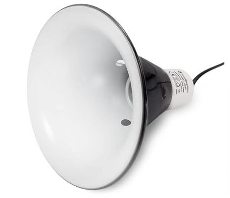 Swell Reptiles Reflector Lamps (Medium)