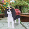 JILIP Cavalier King Charles Spaniel Flower Pot, Cartoon Pet Dog Plant Pot, Animal Shaped Gardening Decoration, Puppy Planter Plant Container Boxe (Size : 13.3 * 9.4inch)