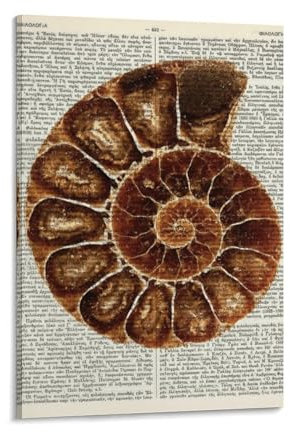 Nautilus-Druck, Nautilus-Kunst, Nautilus Fossil-Kunst, Nautilus-Poster, Nautilus-Dekor, Nautilus-Wandkunst, Fossil-Druck, goldene Zahlen-Poster für Zimmer, Ästhetik, Leinwand-Kunst-Poster und Druck