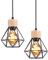 TOKIUS 2 Piezas Lámpara Colgante Vintage 16CM Retro Lámpara de Techo Diseño de Jaula Negro Luz Colgante en Hierro Madera E27 Iluminación de Interior para Pasillo Comedor Dormitorio (Colgante 1 Luz)