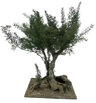 Ulivo in miniatura per Presepi - Accessori Presepi (h 20 cm)